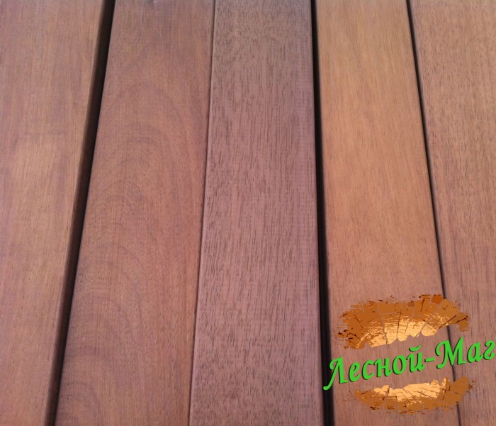 Термо абаш африка 